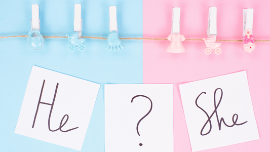 Pink and Blue Theme Gender Reveal Baby Shower Party Ideas