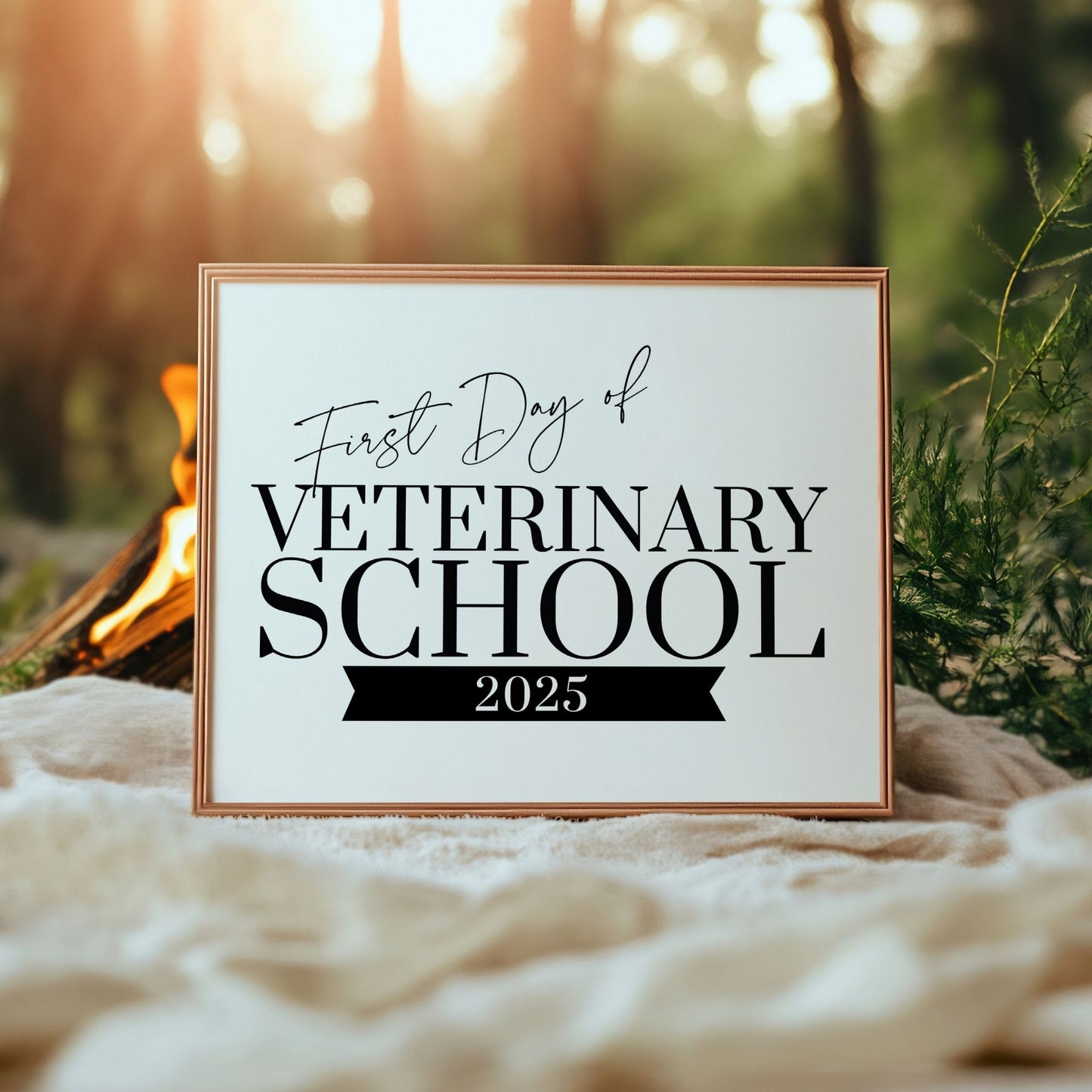 Framed sign with 'First Day of Veterinary School 2025' text against a natural background.