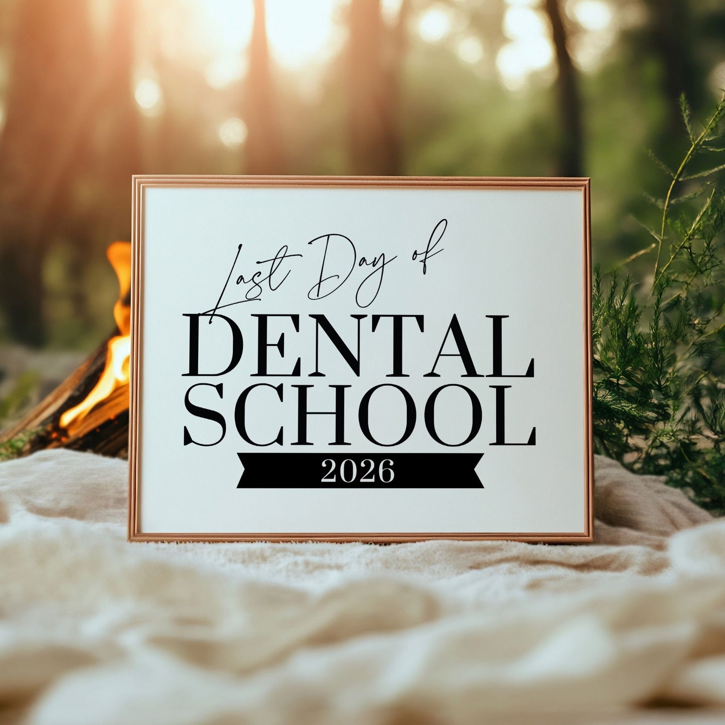 Framed sign reading 'Last Day of Dental School 2026' against a natural background with a fire.