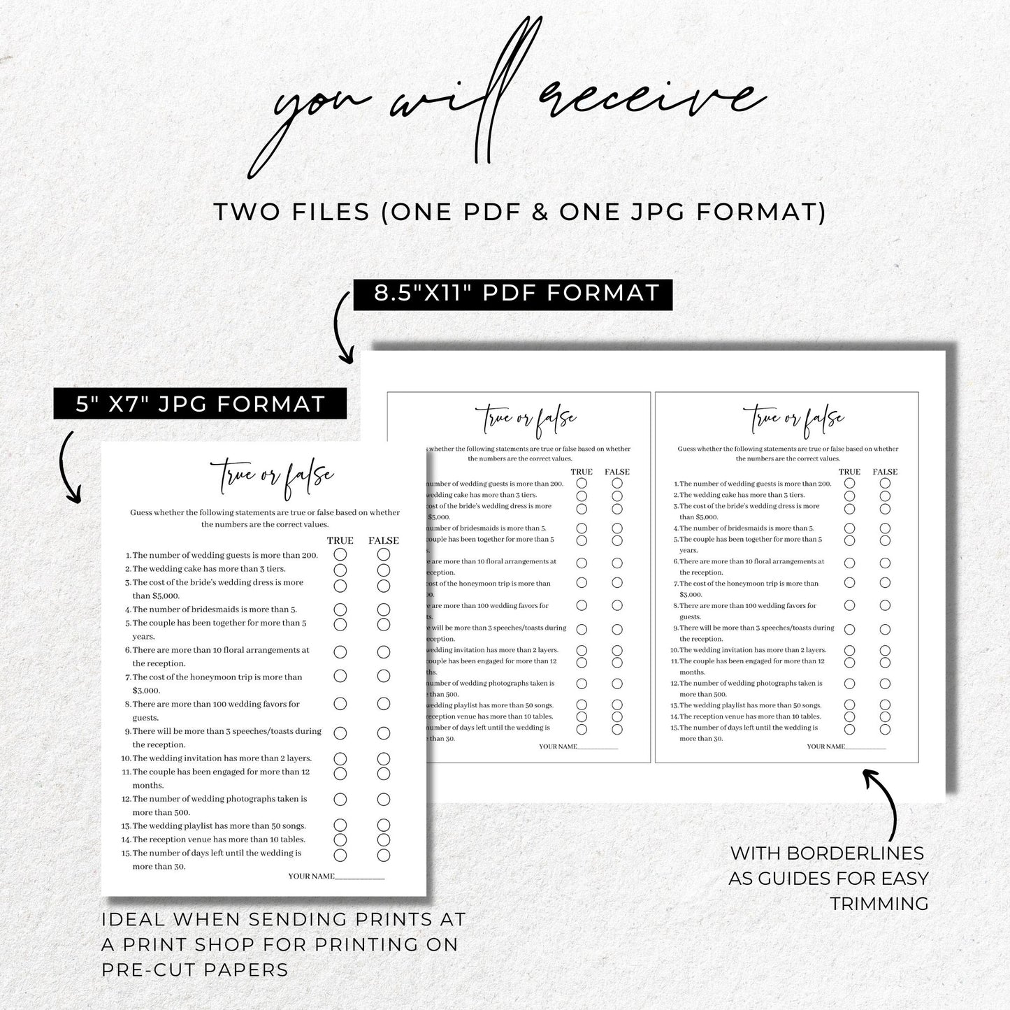 True or False Bridal Shower Game - Minimalist