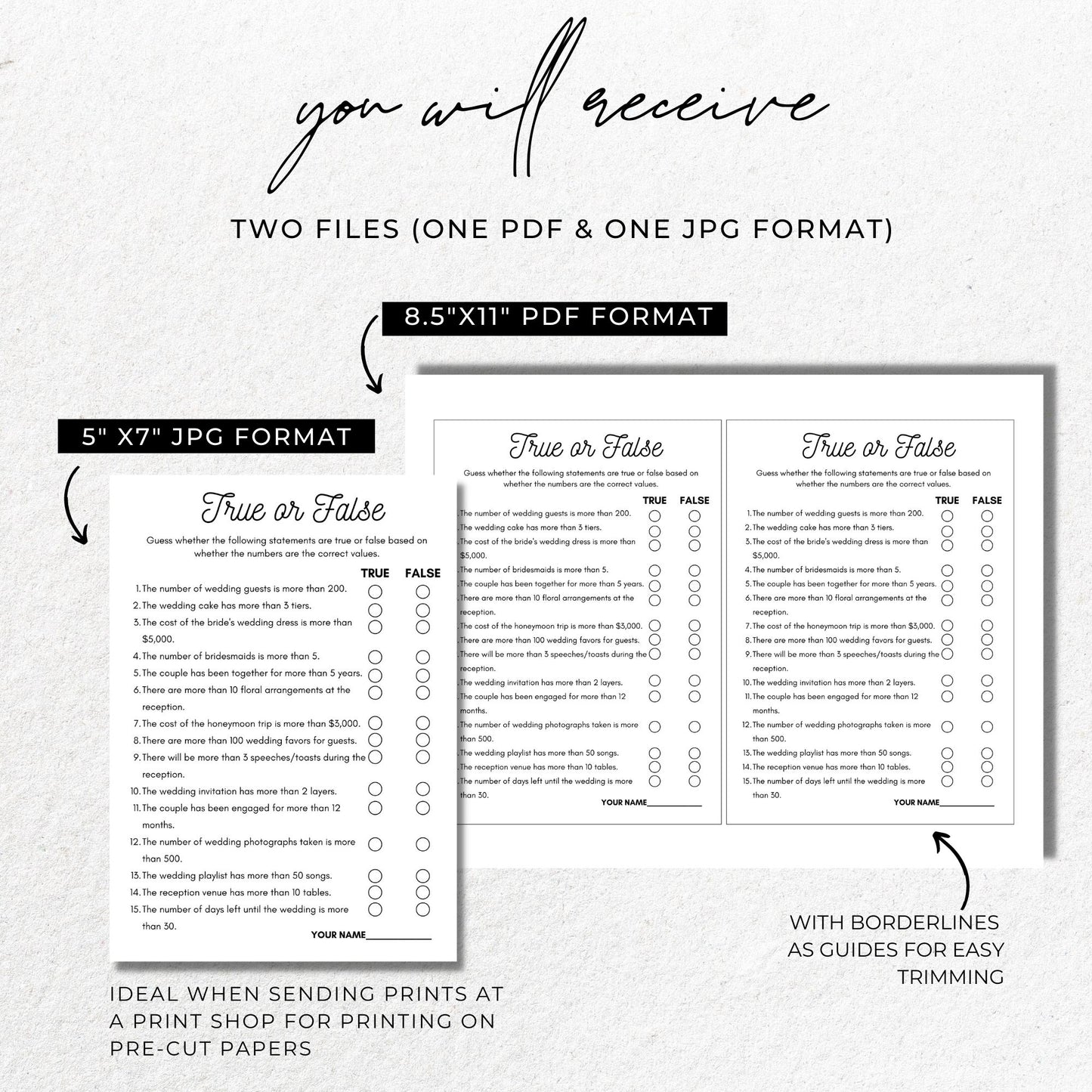 Bridal Shower True or False Game - Minimalist