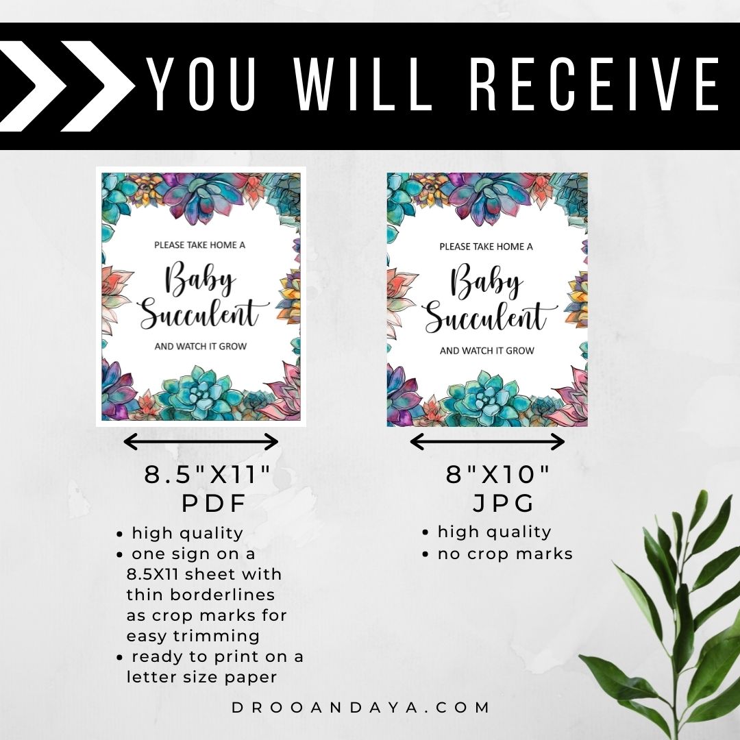 Baby Succulent Baby Shower Sign