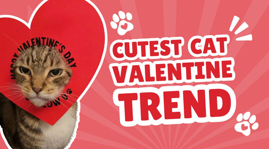 The Cutest Trending Valentine Idea for Cat Lovers