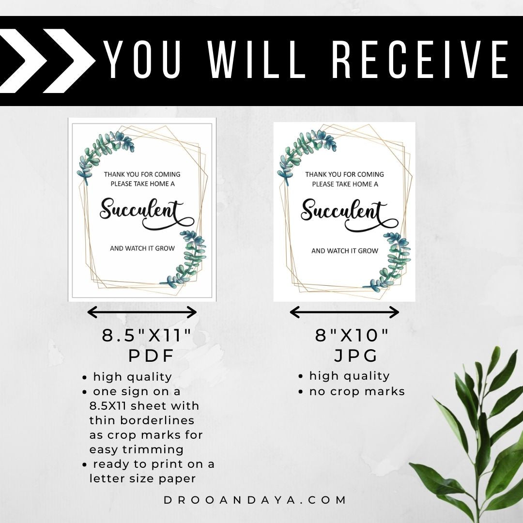 Greenery Baby Shower Succulent Printable 8x10 Sign, Succulent Shower, Baby Shower Sign, Printable Sign, Instant Download, Succulent Signs - Droo & Aya