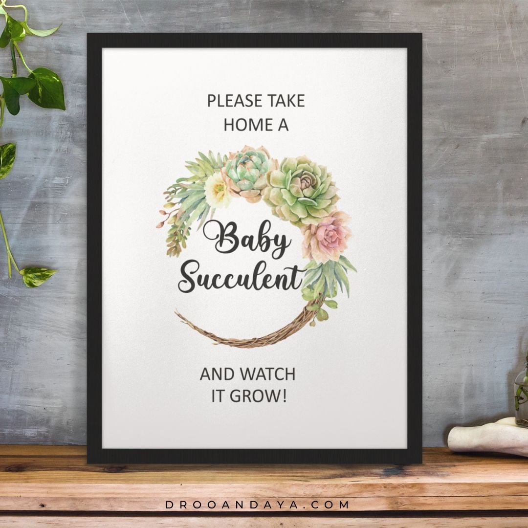 Succulent  Baby Shower Sign Printable